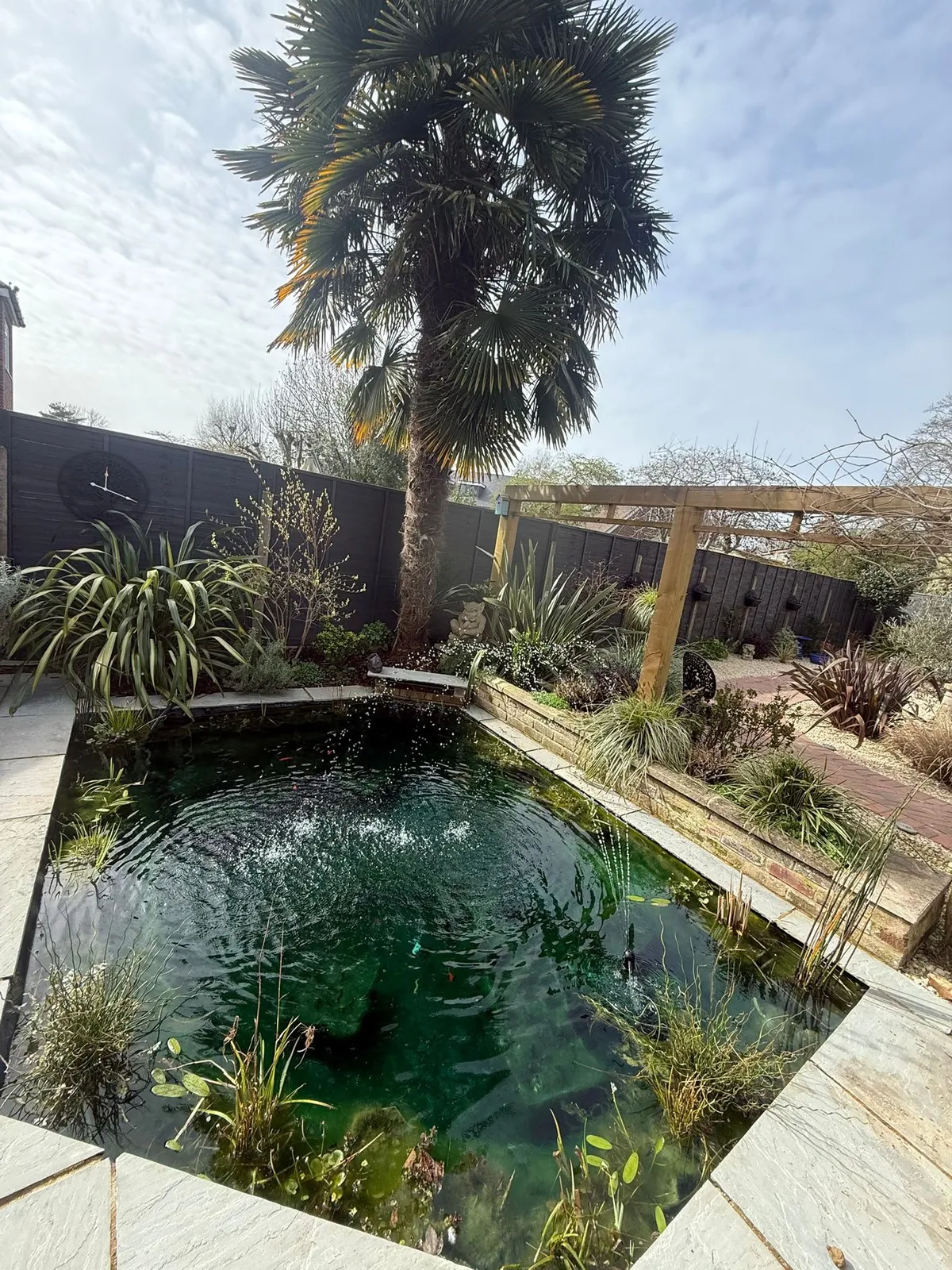 Garden pond with pergola and planting